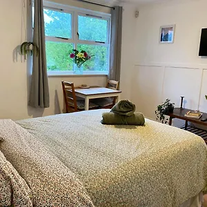 Bright And Comfortable Studio Apartment